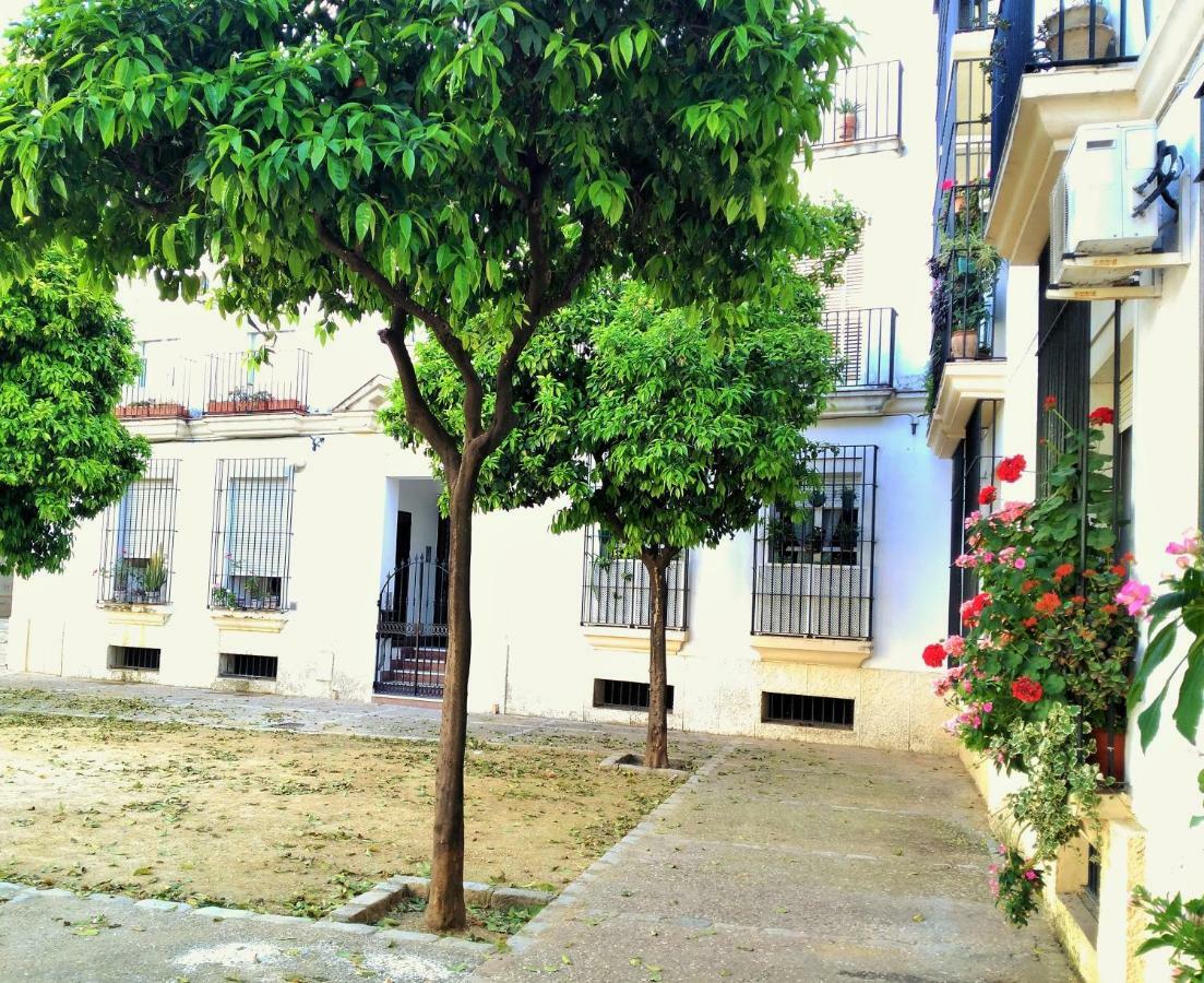 Apartamento Plaza Compania Jerez Jerez de la Frontera Extérieur photo