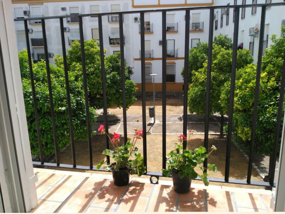 Apartamento Plaza Compania Jerez Jerez de la Frontera Extérieur photo